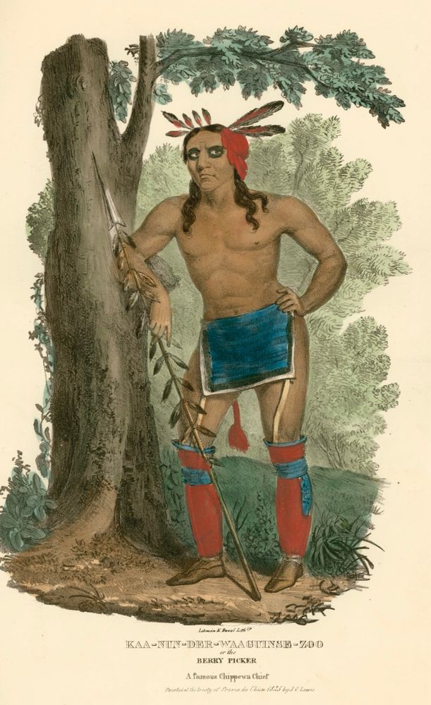 Painting of a Native American leader with caption reading “Lahmin X Baral Lith o
KAA-NUN-DER-WAAGUINSD-ZDD
or the BERRY PICKER A famous Chippewa Chief Paintedal the Iresty of Pravia du Chun 1825 hyJ O Lewi.”