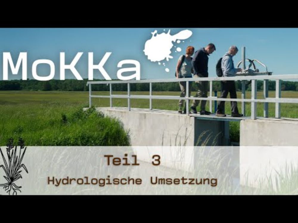 Wie geht Moorwiedernässung? –Teil 3