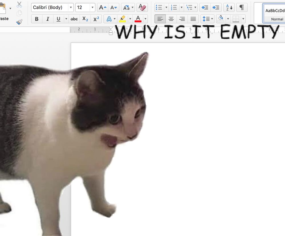 WHY IS IT EMPTY cat meme but I've added a blank word document to the background