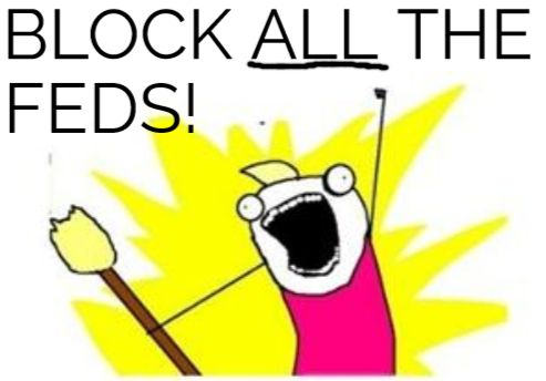 An edit of a panel from the web comic Hyperbole and a Half, a woman holds a fist up determinedly while holding a broom and shouting "BLOCK ALL THE FEDS!"