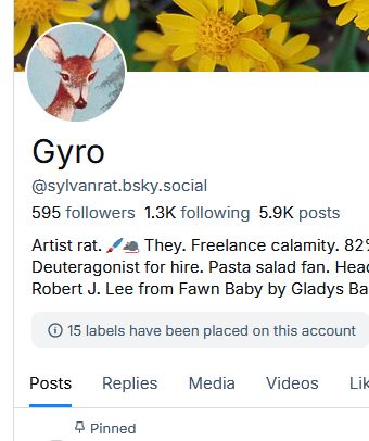 A screenshot of my profile page with the correct account ID name but a different user's display name in place of mine.