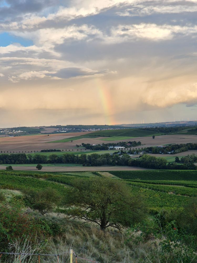 Weiter Blick über die Landschaft auf ein Stück Regenbogen