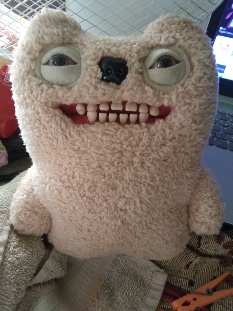 a plushie with realistic eyes and most Importantly human-like teeth. brand name FUGGLER
