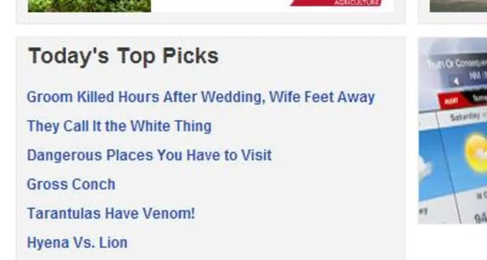 Today's Top Picks:
Groom Killed Hours After Wedding, Wife Feet Away
They Call It the White Thing
Dangerous Places You Have to Visit
Gross Conch
Tarantulas Have Venom! 
Hyena Vs. Lion