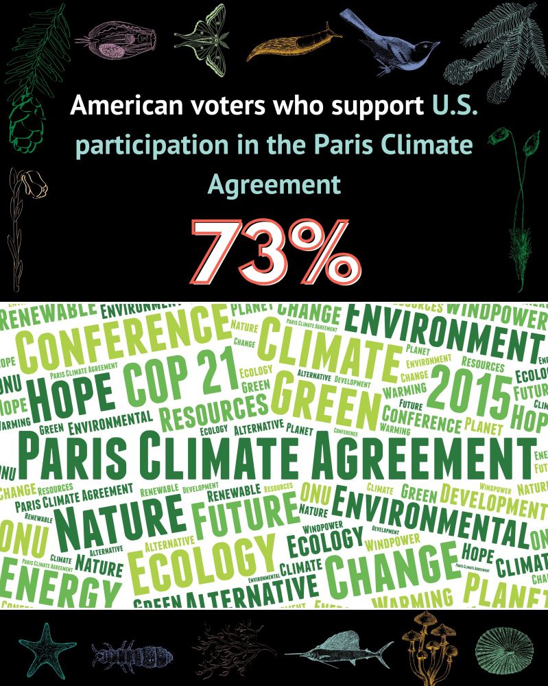 Americans who support US participation in the Paris Climate Agreement: 73%