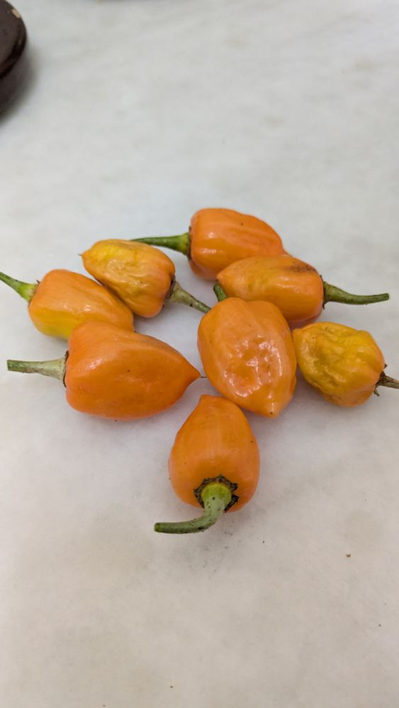 8 habaneros naranjas encima de un mármol.