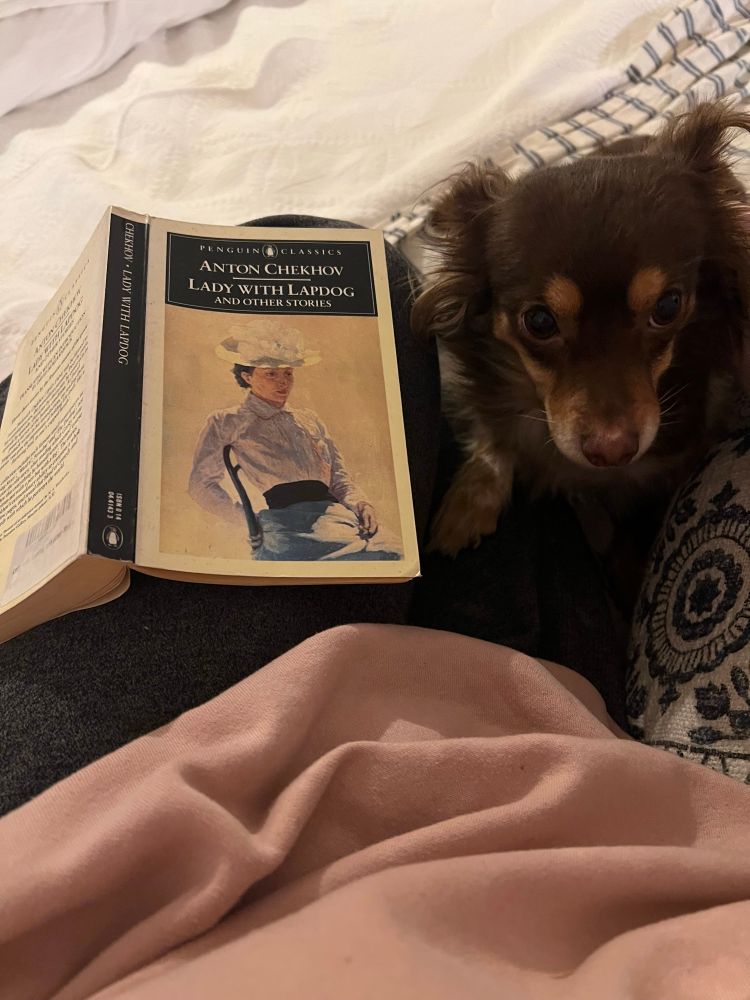 The book Lady with Lapdog by Anton Chekhov and a small brown dog, both on a woman’s lap.