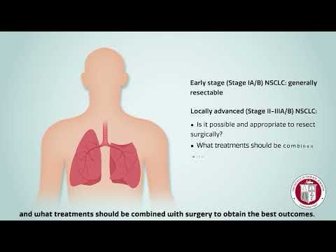 Annals Animated (January 2025)