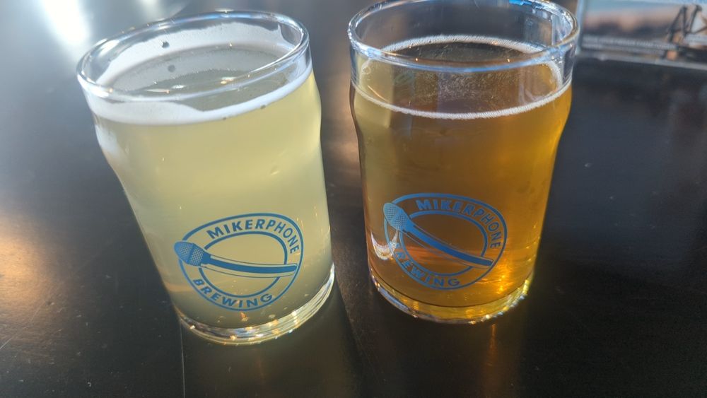 Hau5 Bier and Spicy Slick Pickle Rick from Mikerphone brewing 