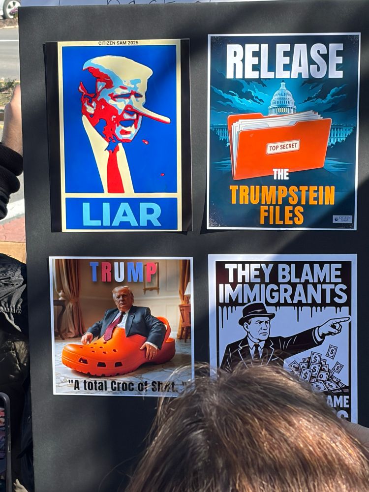 protest poster with 4 images 

“liar” image of trump with pinocchio’s nose in the style of shepard fairey 

“release the Trumpstein files” image of a folder and the us capitol rotunda

“trump a total croc… (Trump in a croc shoe)

“they blame immigrants” with b&w propaganda sketch of a man in a suit pointing 