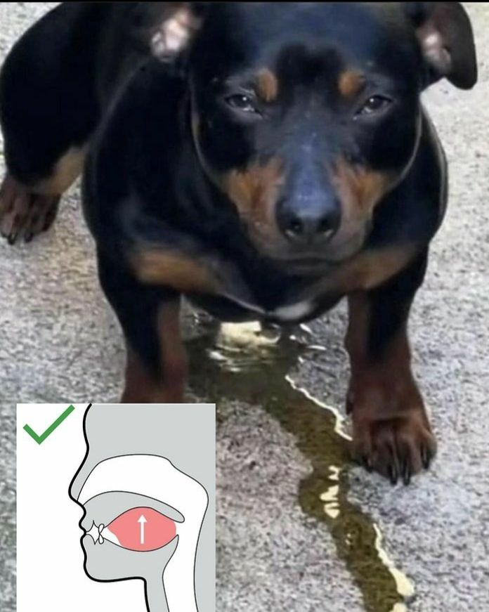 Comment image