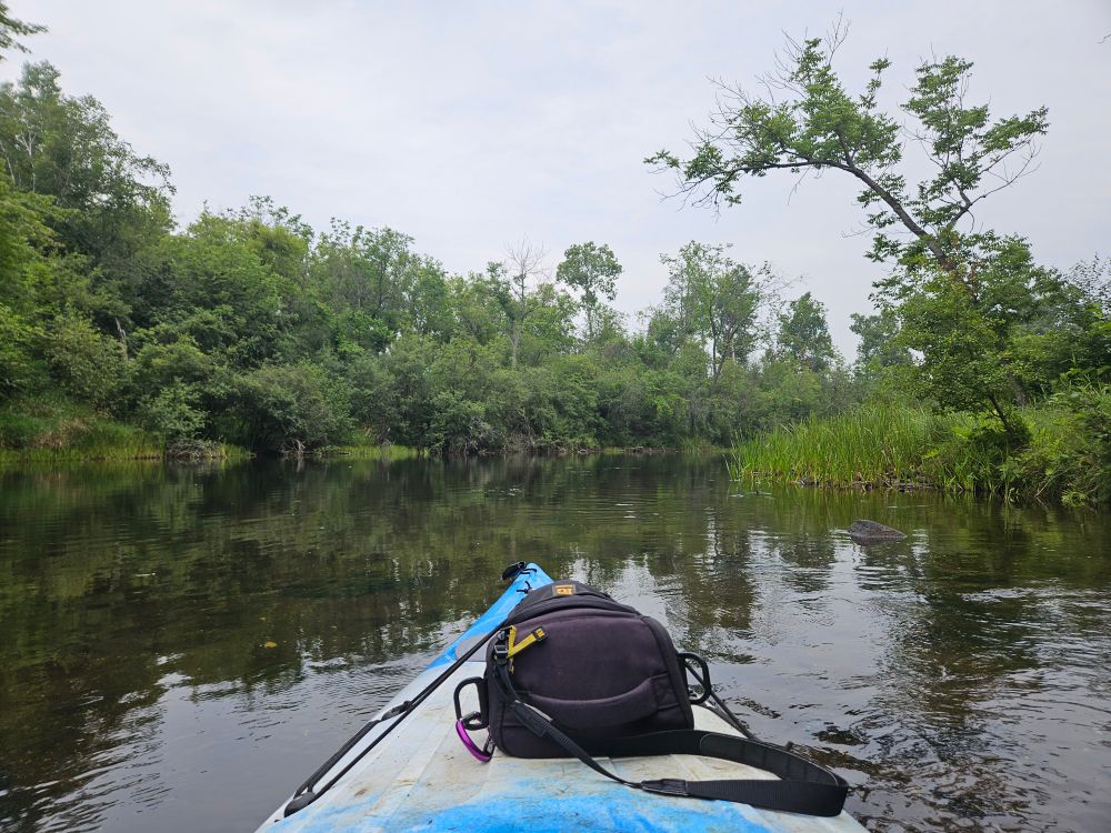 First person POV of a kayak on a river