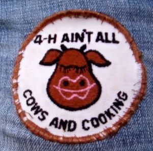 4-H ain’t all cows and cooking