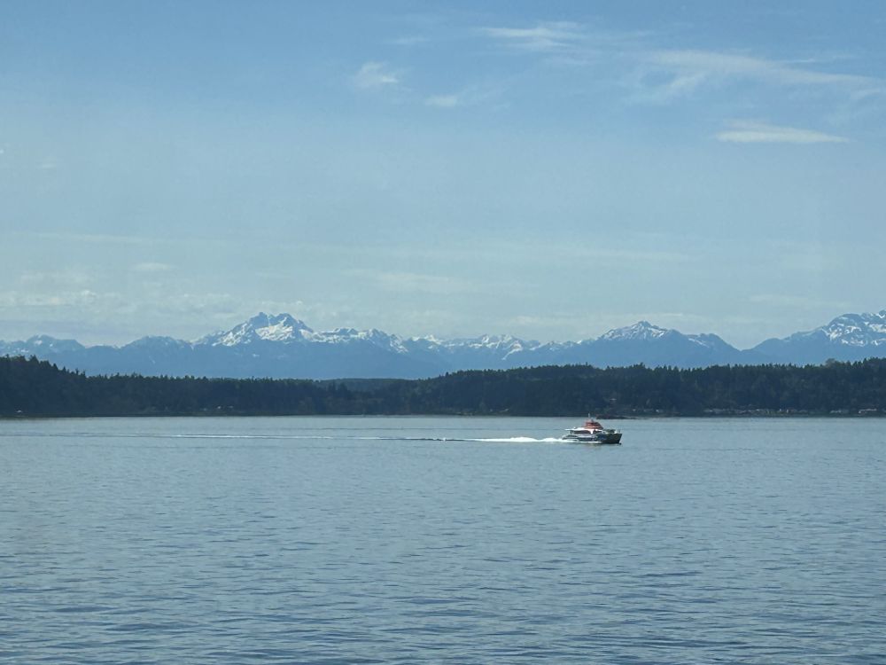 A picture from a ferry in the seattle area. Puget sound with the olympic mountains in the background. A “fast ferry” is sailing by. 