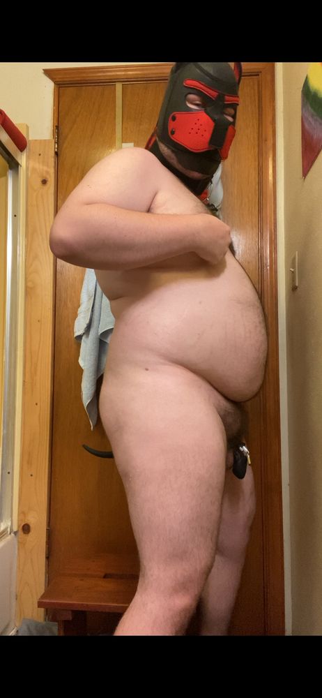 Fat guy wearing a red pup hood, chastity cage, and tail. Side view