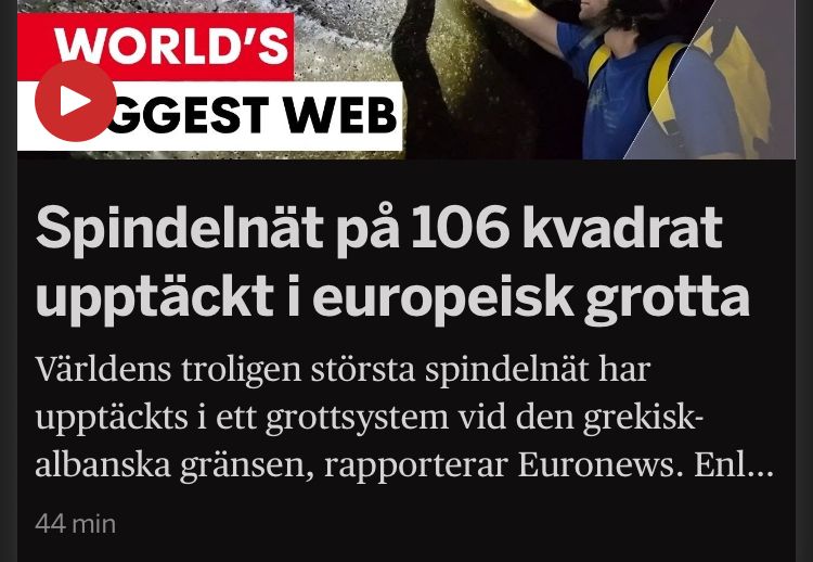 Spindelnät på 106 kvadrat upptäckt i europeisk grotta. 
Världens troligen största spindelnät har upptäckts i ett grottsystem vid den grekisk-albanska gränsen, rapporterar Euronews