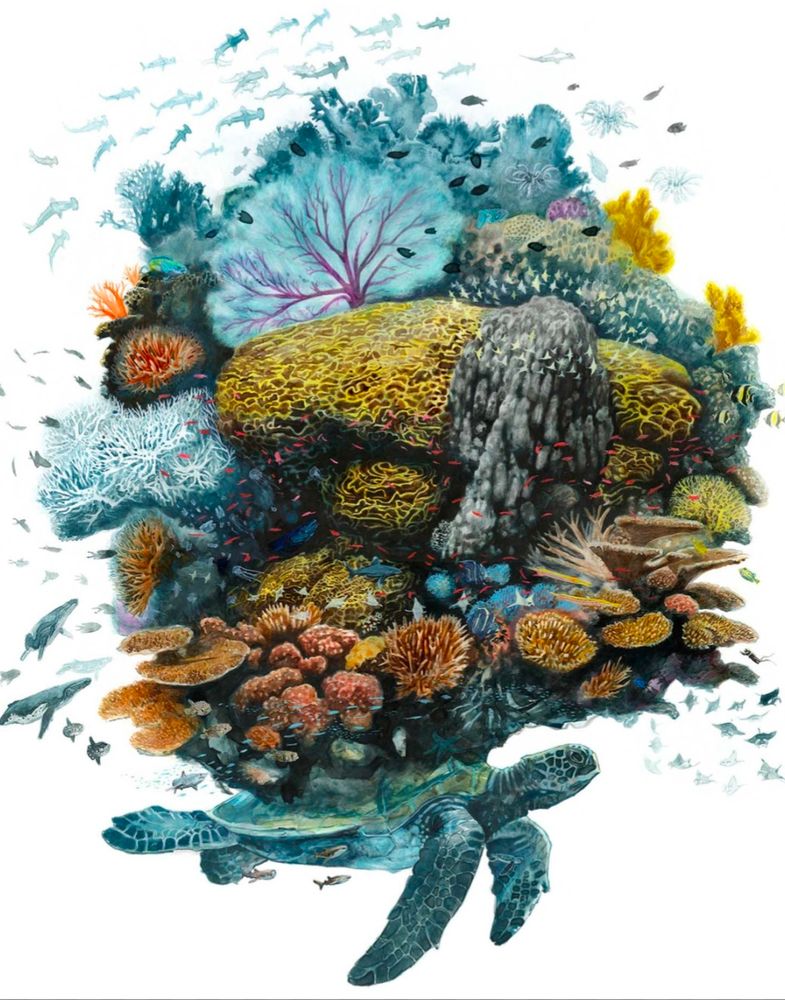 An painting in acrylic and ink or Atlas, the sea turtle carrying the weight of the world by artist Olivier Leger. 