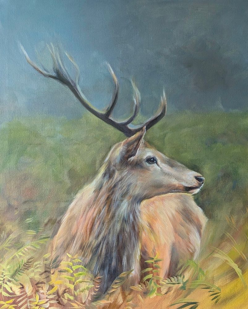 Painting in progress of a young stag in profile. Dark sky behind and ferns with autumn tints in the foreground. 