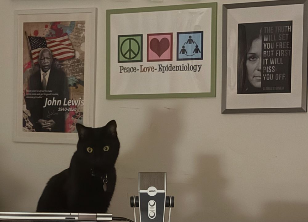 Black cat at microphone