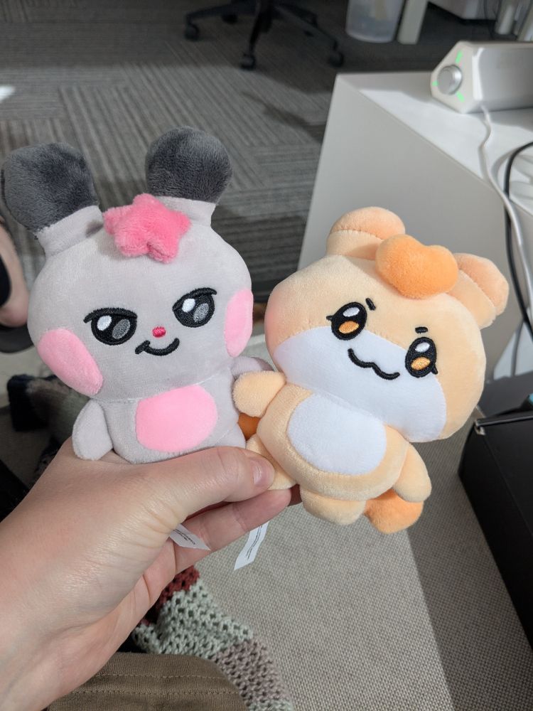 Ddeongyo & Hongyo 