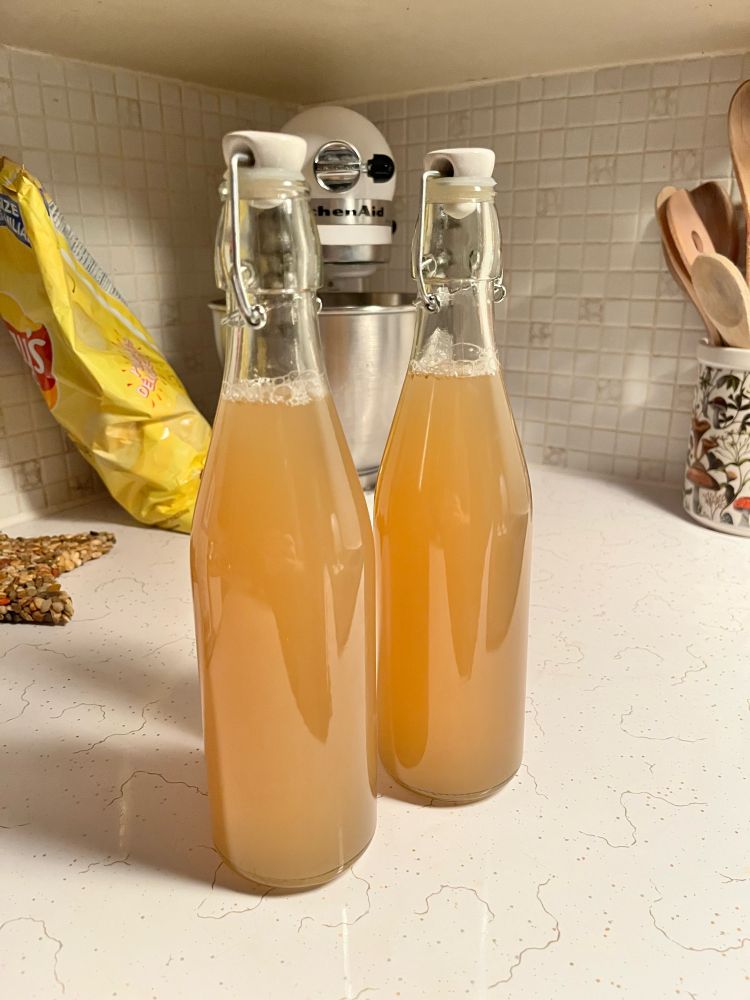 Two clear bottles of a yellowish liquid with some foam visible on top.