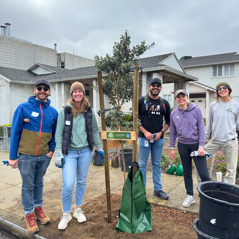 Four smiling volunteers and staff stand beside a newly planted tree.