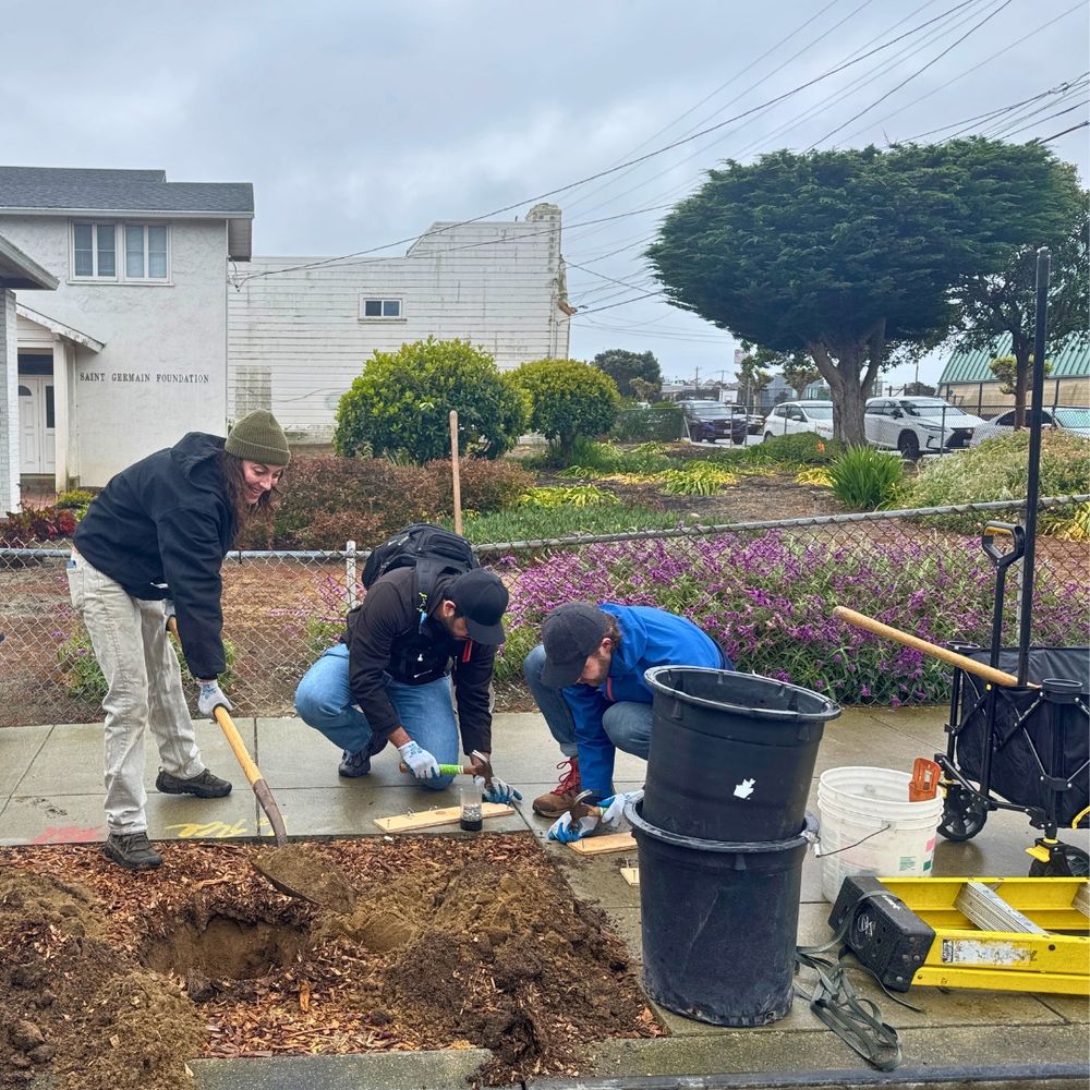 Two volunteers and a staff person prepare the soil and braces to plant a tree.