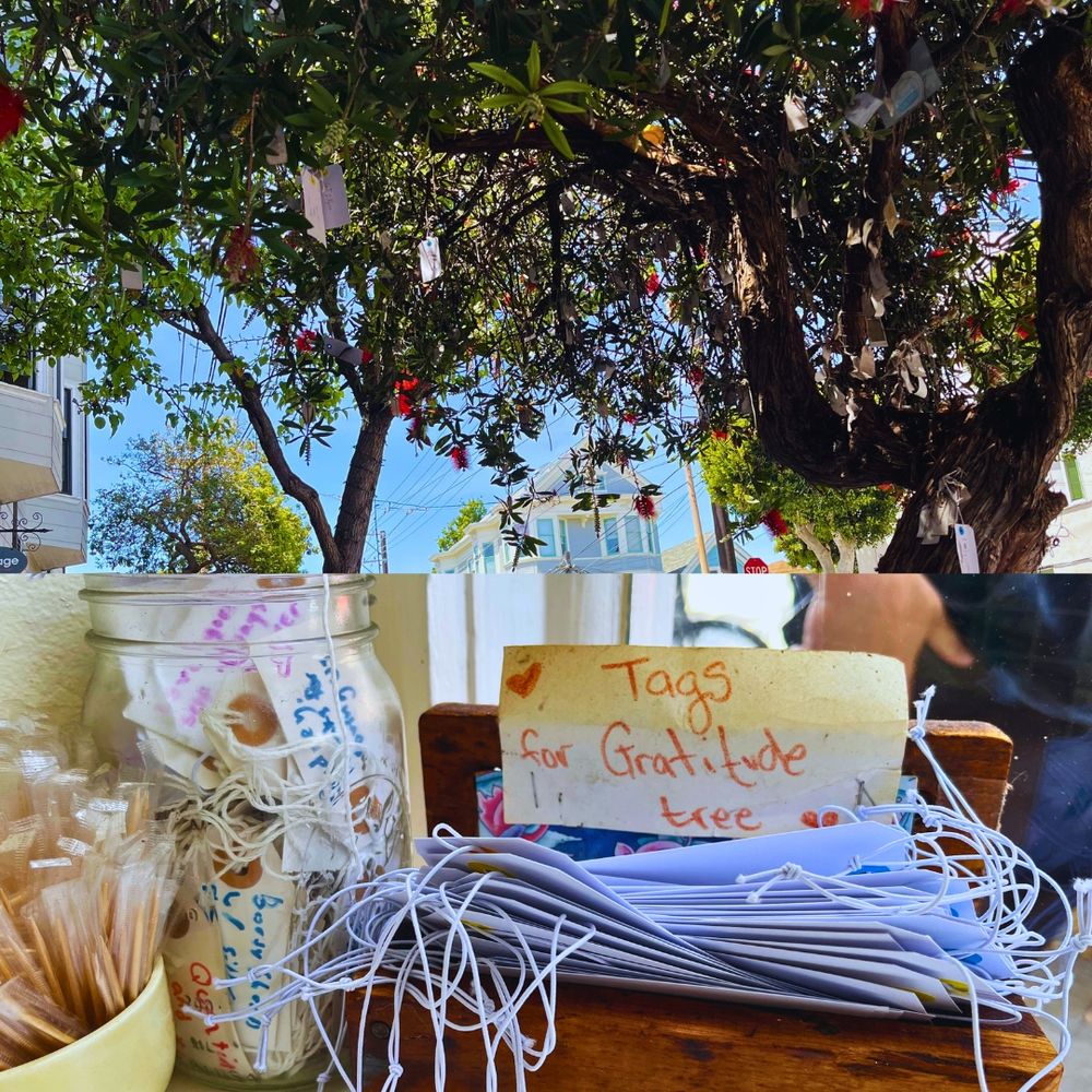Photo of a gratitude tree with paper tags hanging from it. A photo of blank and completed gratitude paper tags.
