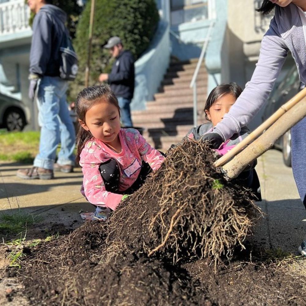 Two children look at a young street tree’s roots before it is planted.
