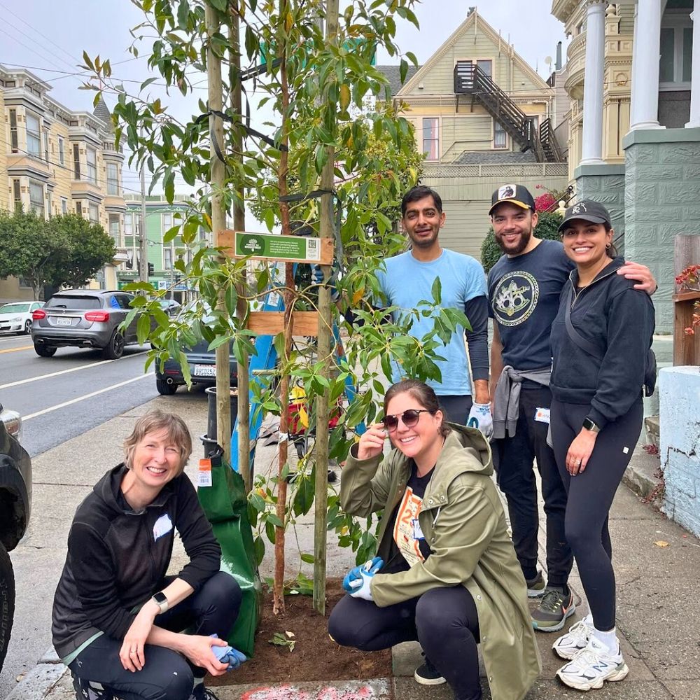 Five smiling people stand on either side of a newly planted street tree.
