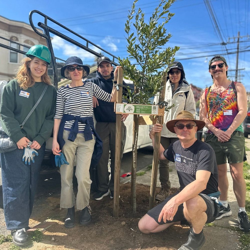 Group photo of 6 volunteers with a newly planted tree.