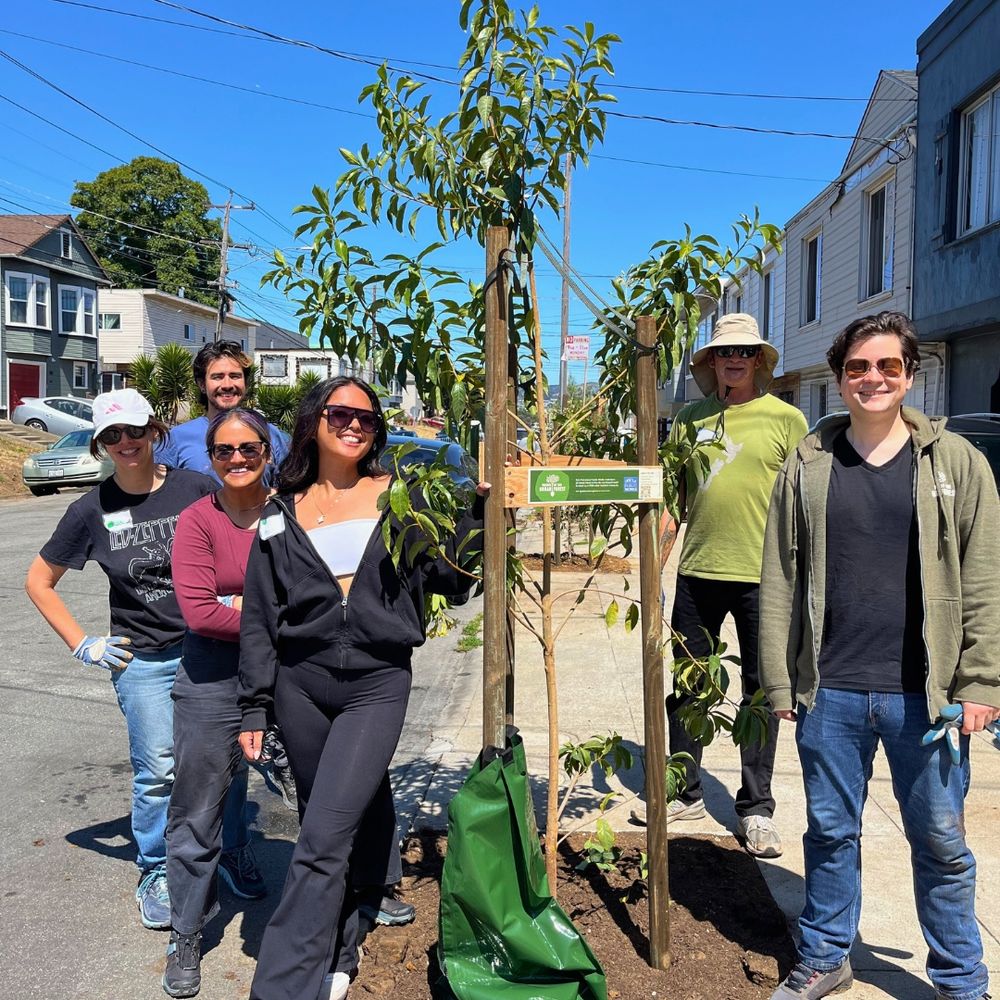 Six people stand on either side of a newly planted tree.