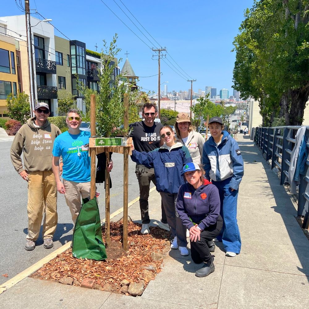 Seven smiling people stand by a newly planted street tree.
