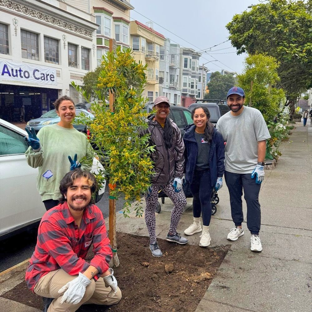 Five smiling people stand on either side of a newly planted street tree.

