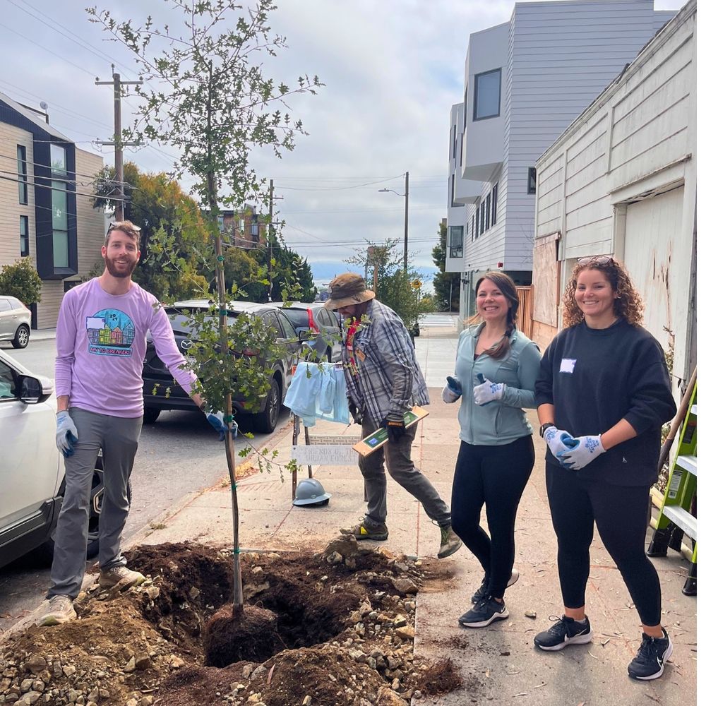 Four smiling people stand by a newly planted street tree.
