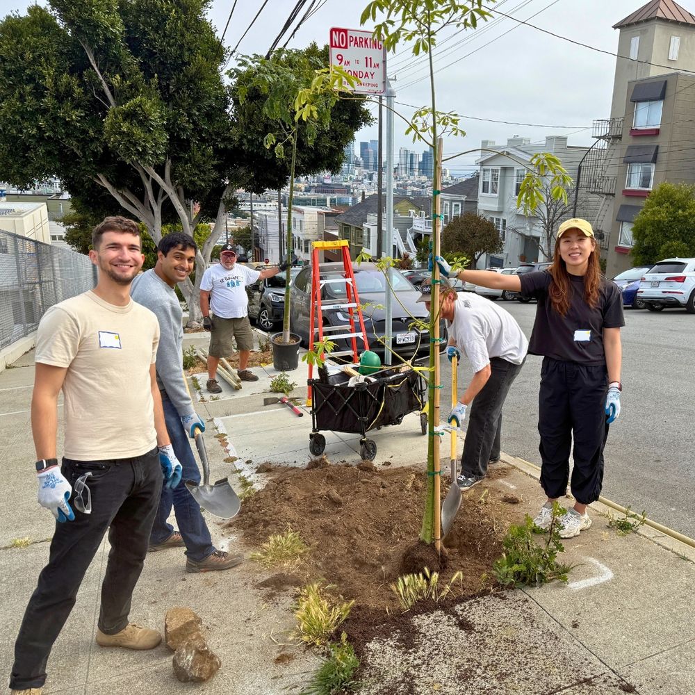 Five smiling people stand by two newly planted street trees.
