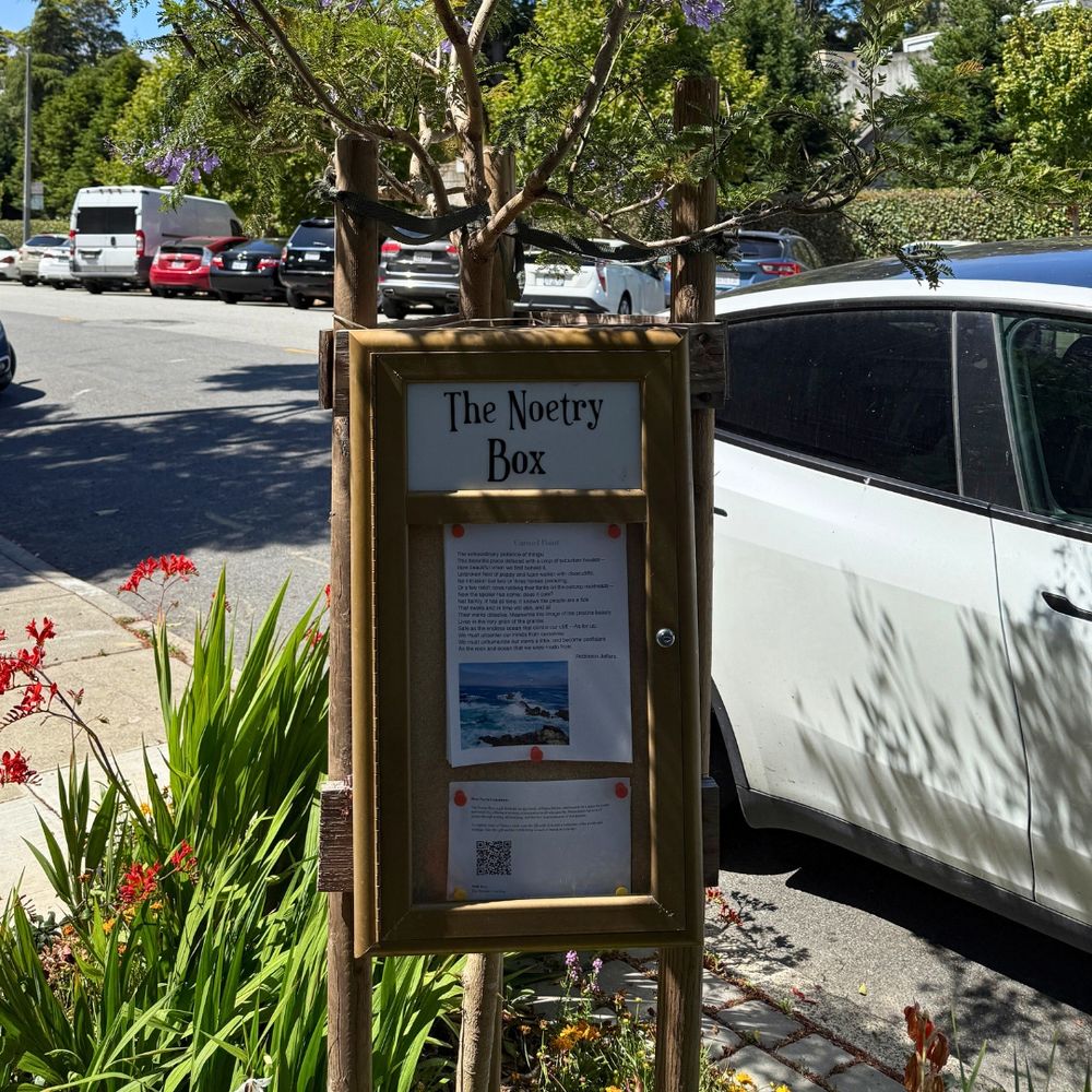Photo of The Noetry Box, a display case for poetry using a street tree’s cross brace and stakes.
