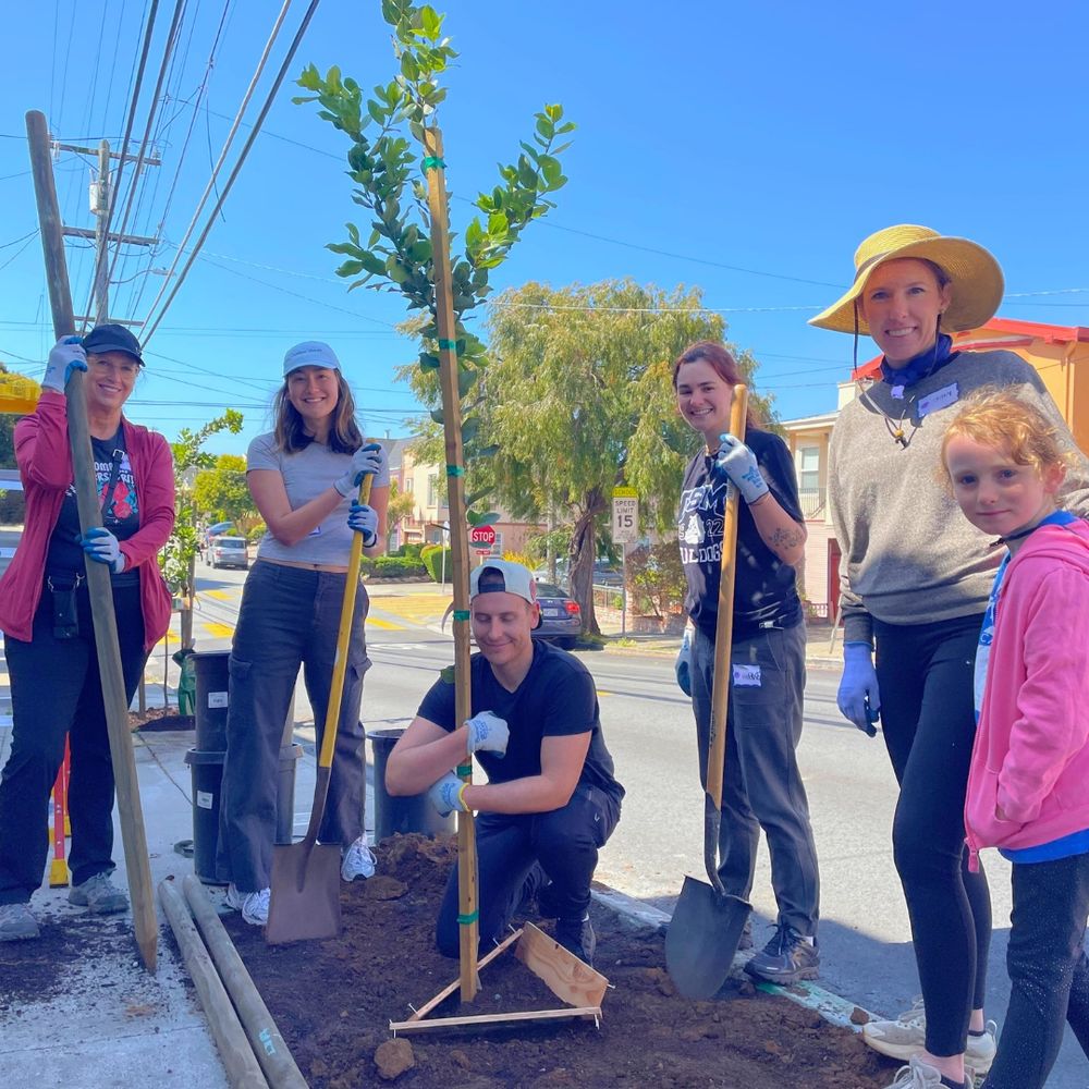 Six people stand by a tree in the process of being planted.