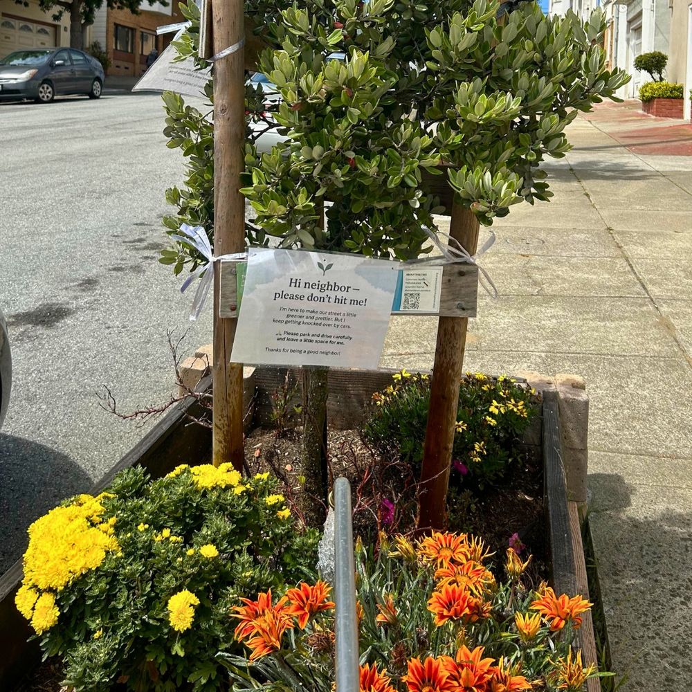 A street tree with a letter from the tree attached to it asking people to park and drive carefully near it so it doesn’t get hit.