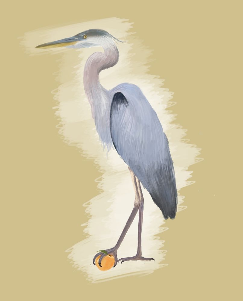 Digital painting of a heron with one foot resting on an apricot