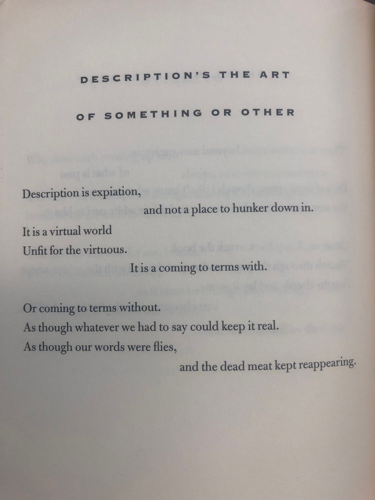 Description’s the Art of Something or Other

Description is expiation,
and not a place to hunker down in. 
It is a virtual world
unfit for the virtuous. 
It is a coming to terms with. 

Or coming to terms without. 
As though whatever we had to say could keep it real. 
As though our words were flies, 
and the dead meat kept reappearing. 
