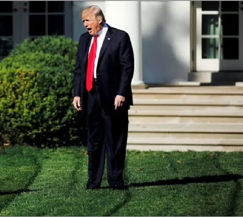 Trump shouting into the void on the White House lawn