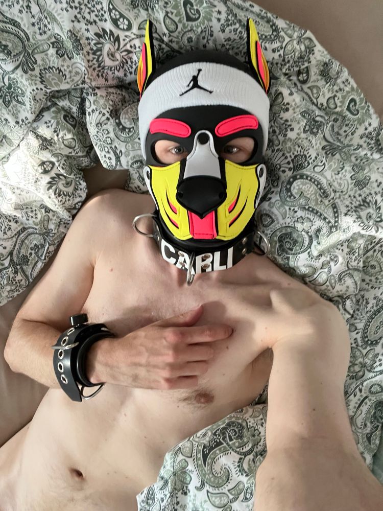 Carli is lying naked in bed and he only has wrist rubties and a neck rubtie with his name on it.