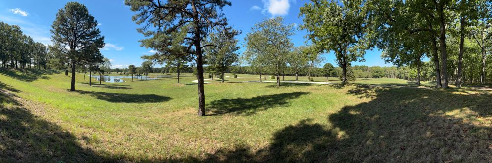 Pretty field with trees and ponds and blue sunny skies 