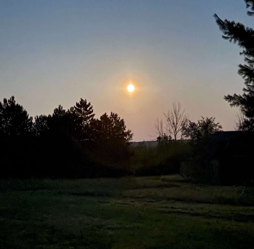 Pic of moon at about 9:10 pm est. on 8/9/25 an unevenly mowed grassy field in foreground. beyond the field a cluster of pine trees are silhouetted against the sky on the left. a hard-to-see barn is on the right. a couple bare/dead trees in the middle are silhouetted as well. neat lookin. a bright orangey-yellow moon is low on the horizon and looks like the sun. From the horizon upward the sky is orangey-yellow, light yellow, grayish-white and a bigger chunk of faint light blue at the top. 