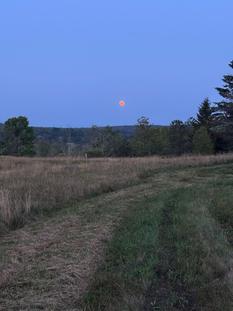 Pic of Full Moon rising at dusk. It’s reddish and small (zoomed out) with a partially mowed field in the foreground
