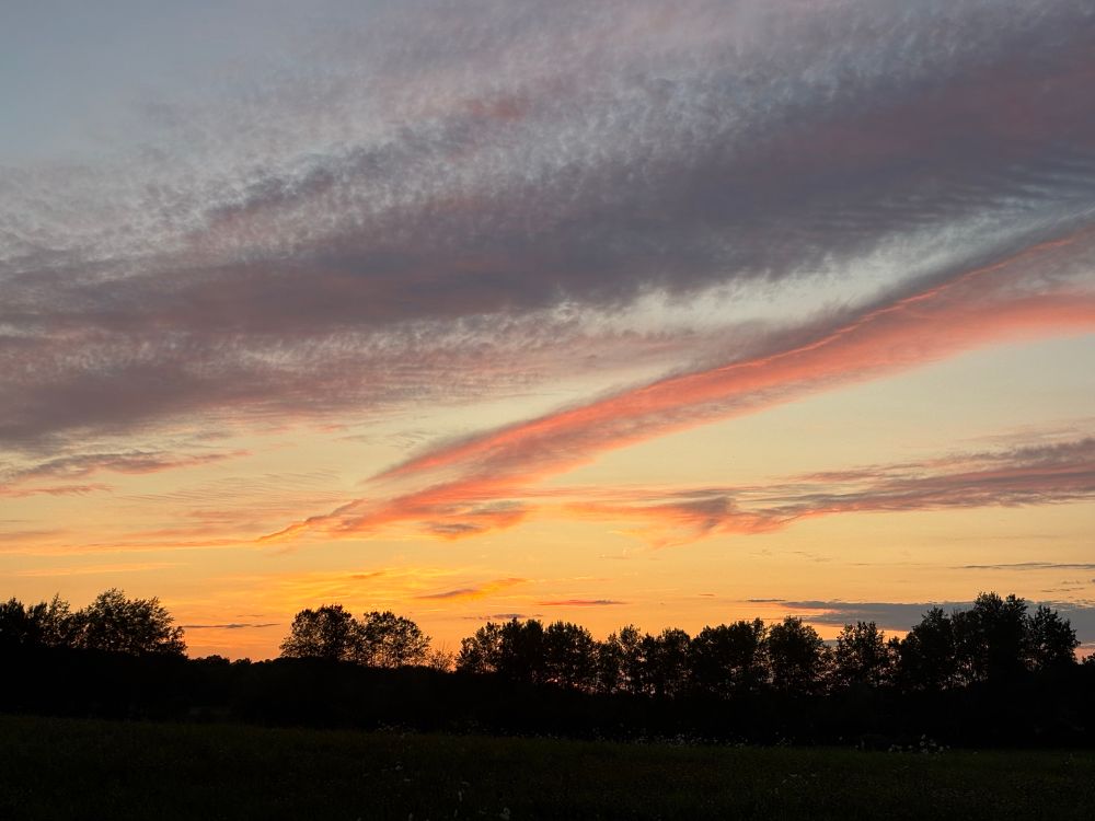 Pic of a sunset with a treeline line at the bottom of pic and bright orange and yellow on the horizon right above the trees. Pink purple and gray clouds streak across the top of the pic. 