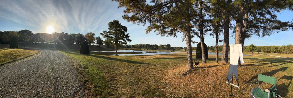Pano of dog training area with a road and very bright sun above it (left side) then technical ponds, trees another pond and a gunner station for dog training (far right)☀️