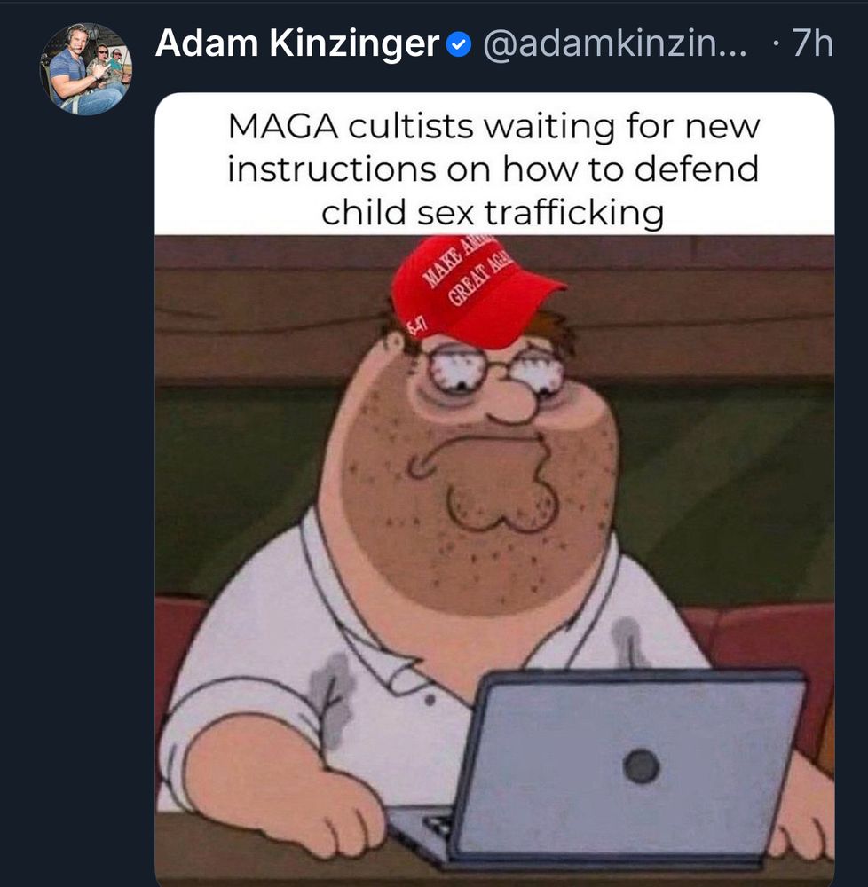Cartoon drawing of a large bearded man wearing a maga hat staring at a computer as if waiting for a message. 

The caption reads: MAGA cultists waiting for new instructions on how to defend child sex trafficking.

Posted by Adam Kinzinger
