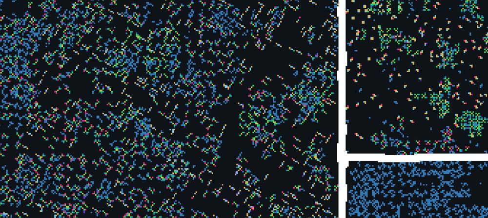 Screenshot of Life Engine, simulating evolving life at a large scale